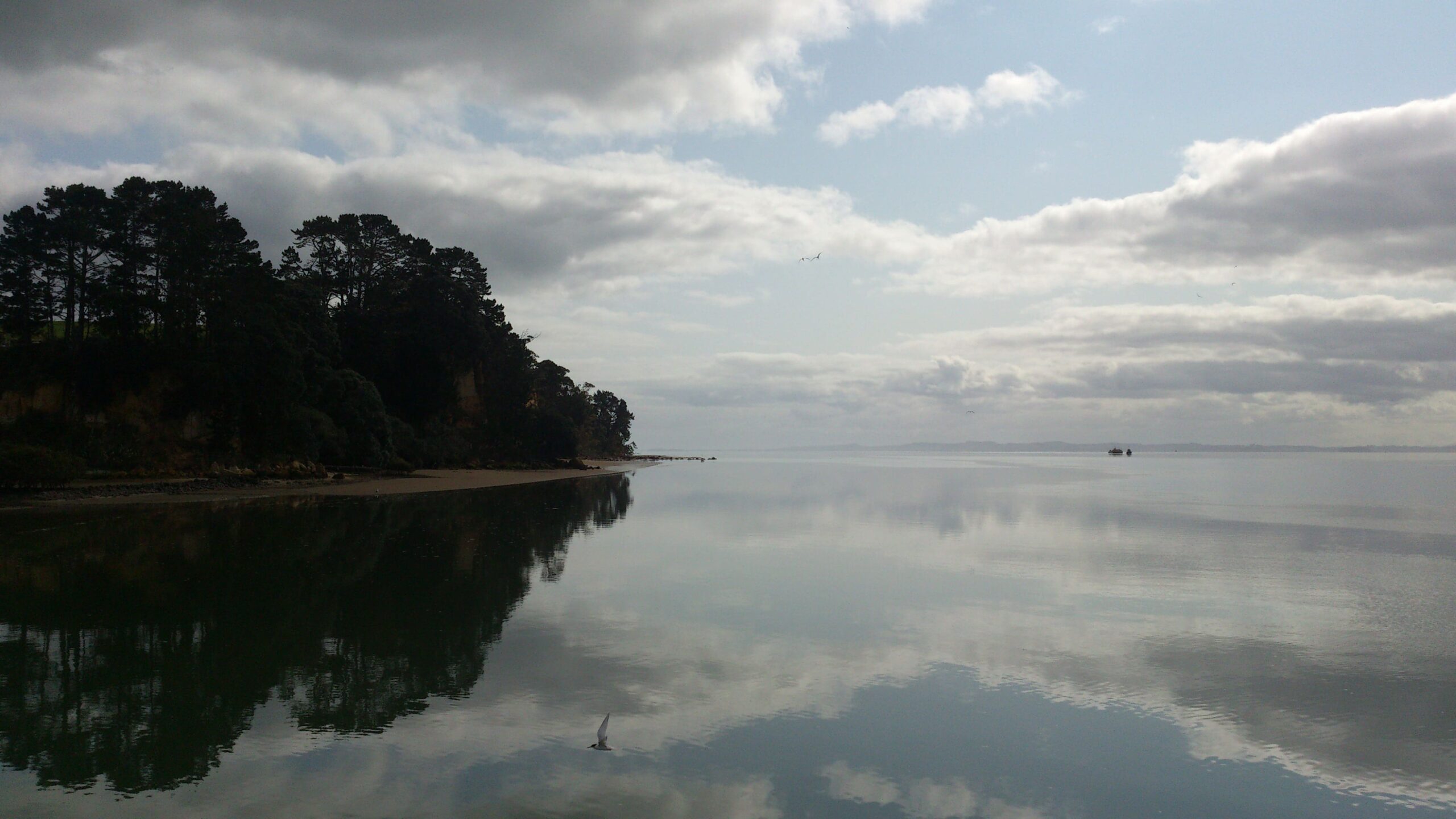 South Head Kaipara Harbour, NZ